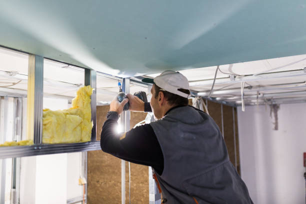 Best Insulation Maintenance and Repair in Wheaton, IL