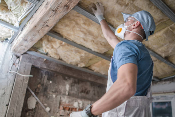 Best Cellulose Insulation in Wheaton, IL