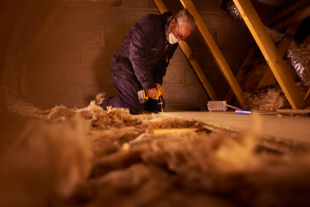 Types of Insulation We Offer in Wheaton, IL