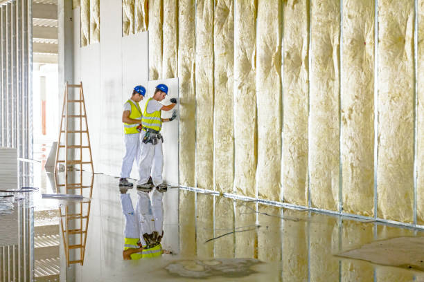 Best Fiberglass Insulation in Wheaton, IL